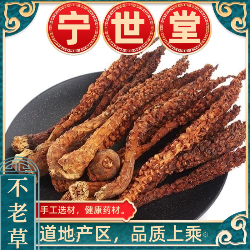 中药材不老草草苁蓉不老草中药材正品泡酒泡茶野生晒干干货