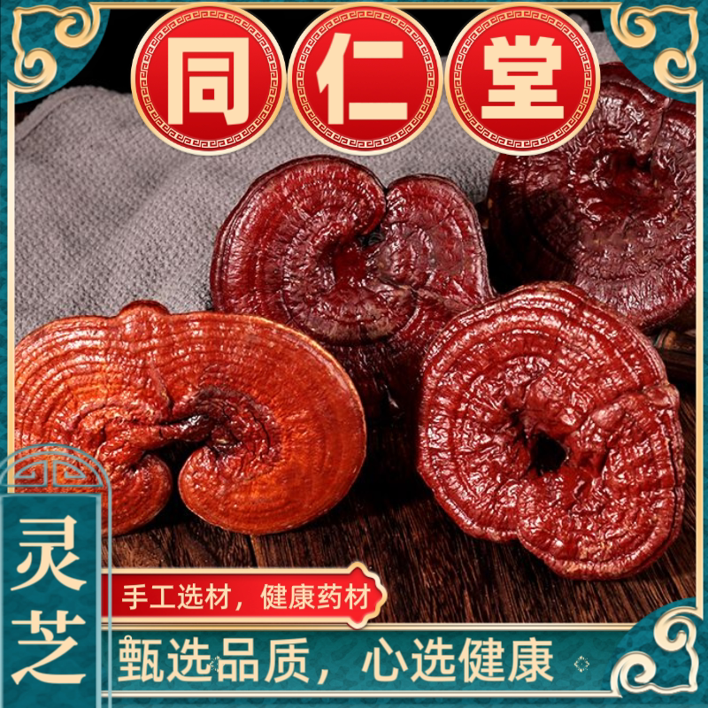 灵芝长白山整枝的超大赤灵芝泡酒正品天然金边特级中药