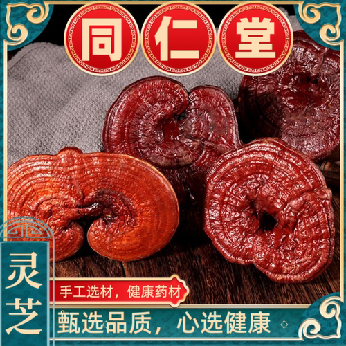 灵芝长白山整枝的超大赤灵芝泡酒正品天然金边特级中药