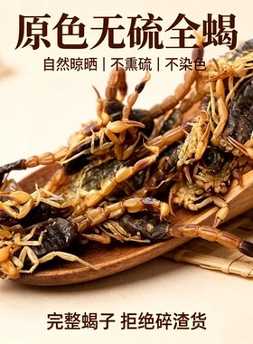 全蝎干全虫干蝎子全蝎中药材无盐无硫药用可磨粉全蝎干货