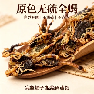 全蝎干全虫干蝎子全蝎中药材无盐无硫药用可磨粉全蝎干货