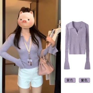 紫色翻领长袖 Polo衫 针织衫 内搭修身 毛衣女 上衣秋季 高级感巨好看