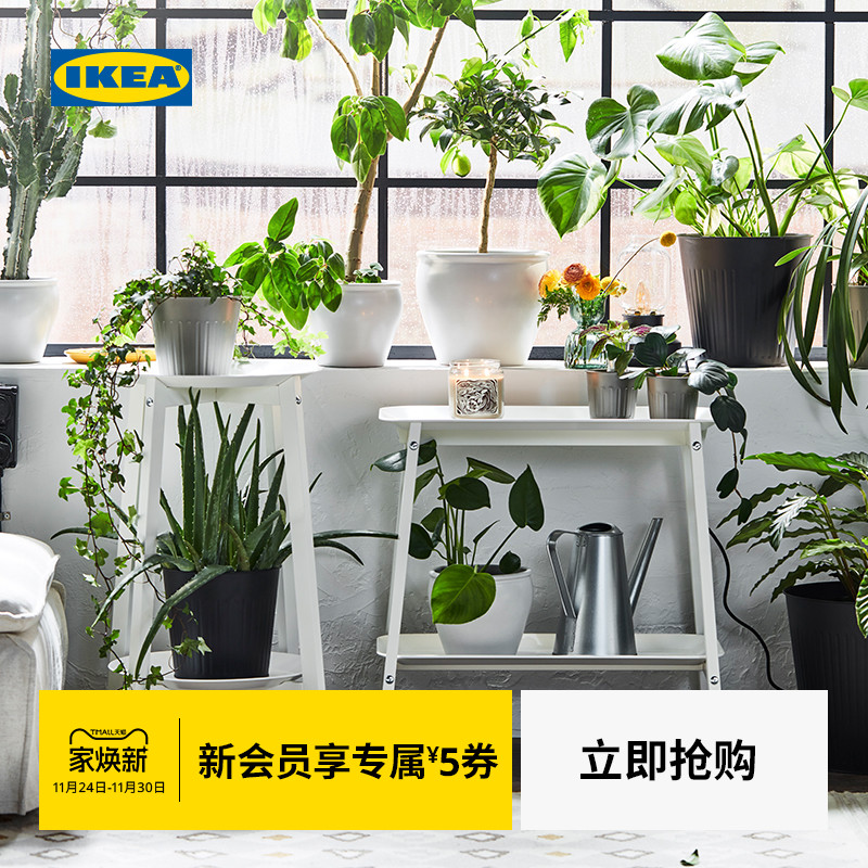 IKEA宜家艾普维植物架