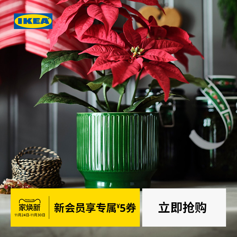 IKEA宜家云芬特装饰花盆