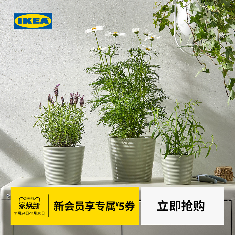 IKEA宜家布鲁斯匹装饰花盆