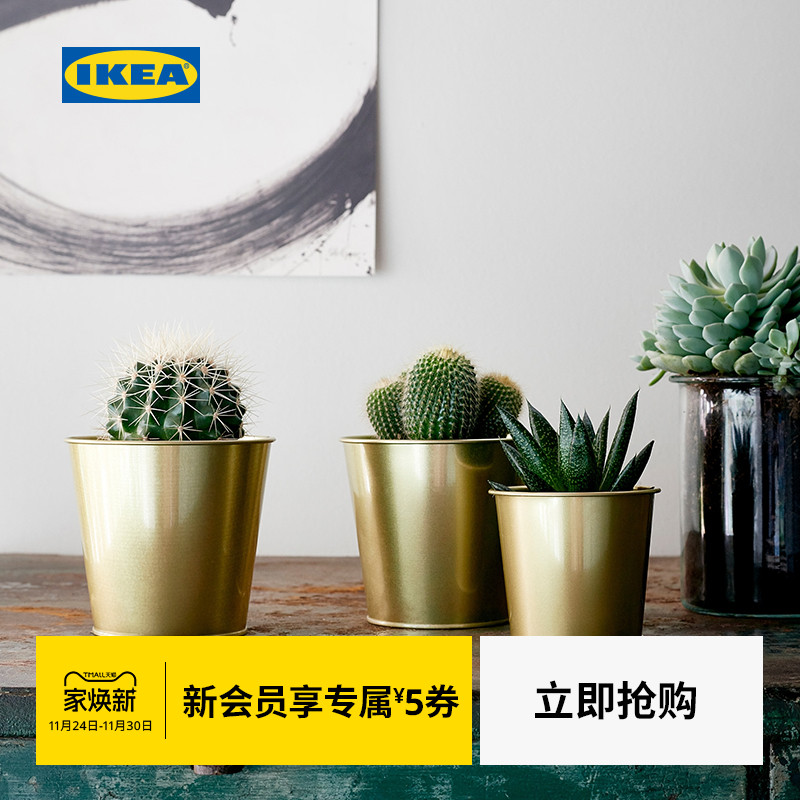 IKEA宜家戴戴装饰用花盆