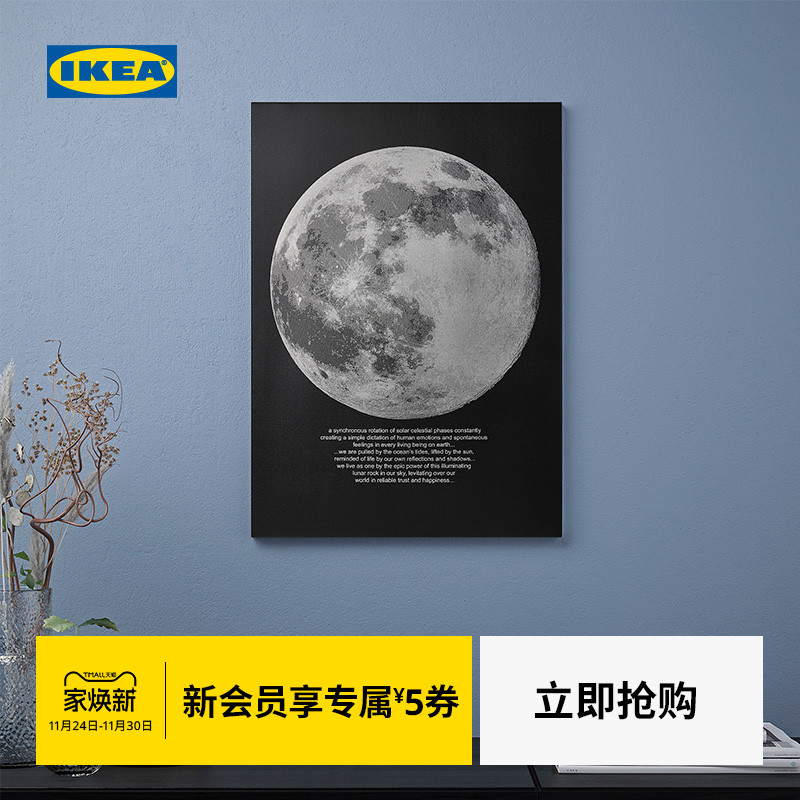 IKEA宜家皮亚特艺术画鹿