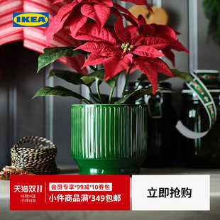 饰花盆绿植鲜花观赏装 IKEA宜家VINTERFINT云芬特装 饰盆 新品