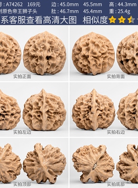 文玩核桃帝王狮子头核桃一物一图A74262老树白茬大尺寸盘玩45mm