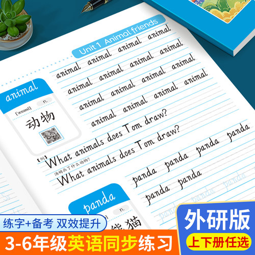 小学生外研版三年级起点英语练字帖三四五六年级下上册外研社课本同步单词3-6年级学生儿童26个英文字母斜体默写描红手写体练字本