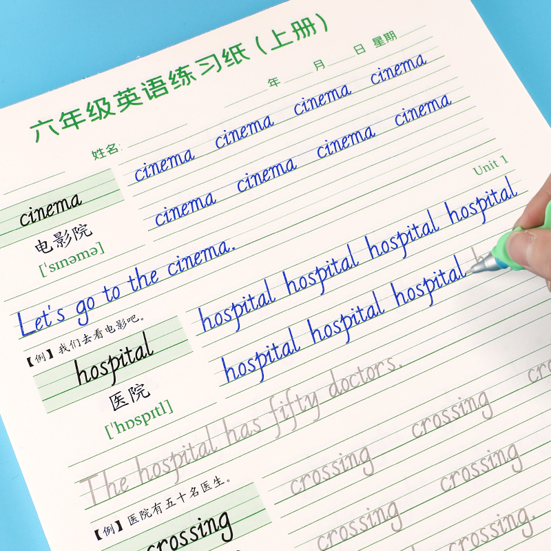 奈斯猪六年级英语单词小学生