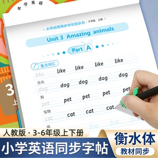 同步课本英文单词字母练习册四五六年级小学生专用钢笔描红每日一练英语练字帖 三年级衡水体英语字帖上册下册人教版 2025年新版