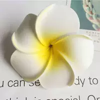 Яичный цветок [1 большой большой]