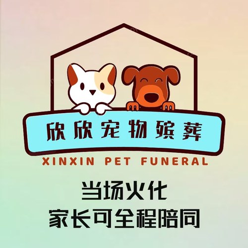 欣欣宠物殡葬火化上海狗狗猫咪兔子火葬动物善后无害化丧葬安乐针