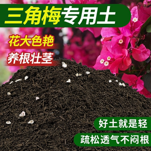 三角梅专用肥四季开花绿植花卉家用园艺蔬菜阳台通用有机土泥炭土