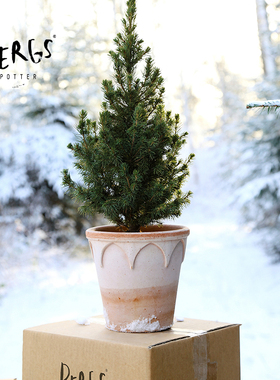 Bergs Potter宝格仕伊丽莎白手工花盆复古北欧风简约百搭陶盆多肉