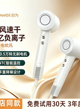 bowei泊为B18高速吹风机
