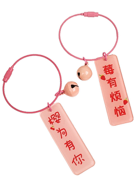 菲菲姐家钥匙圈钥匙扣配件