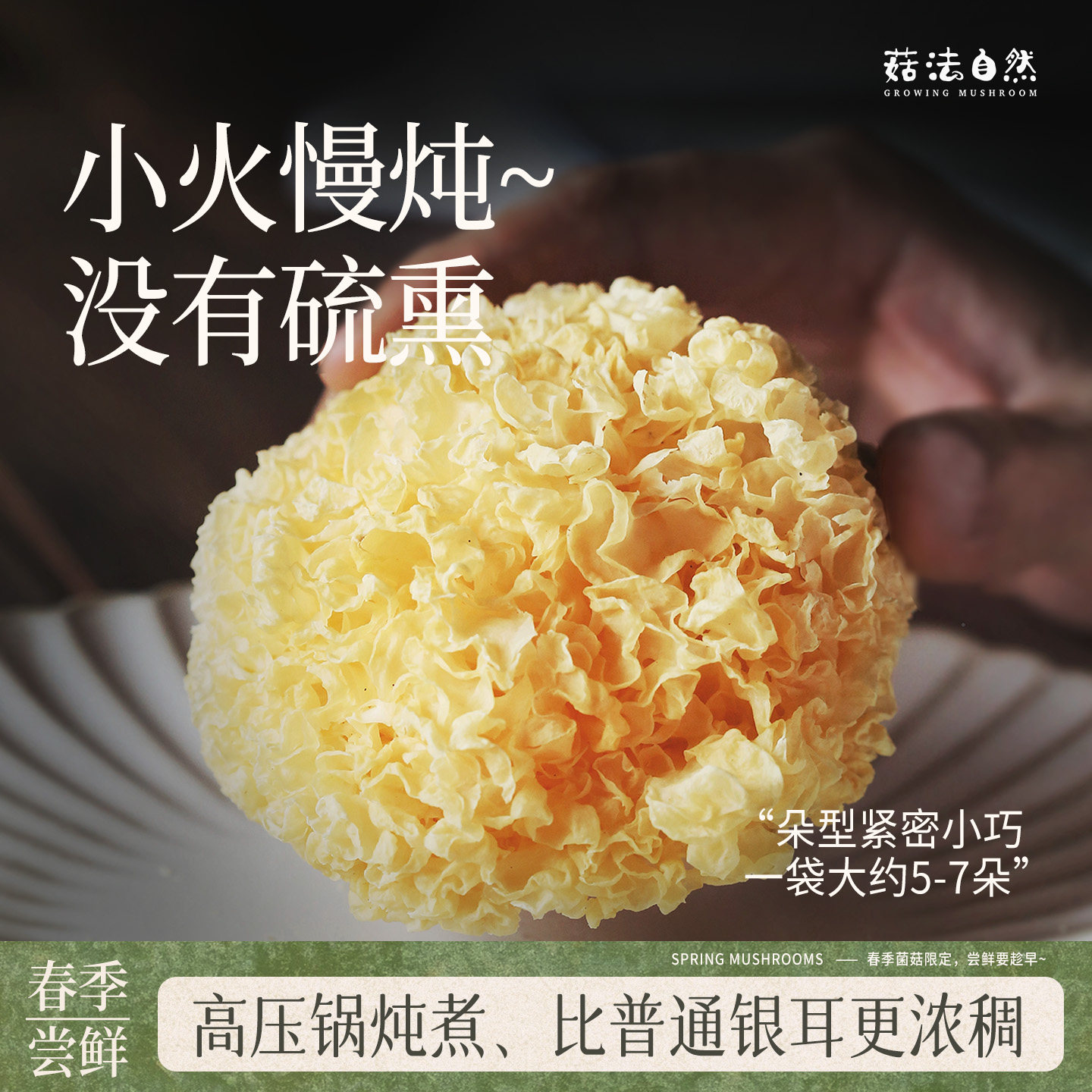 【菇法自然】易出胶银耳干货古田丑耳白木耳糯耳雪耳218g*2无硫熏