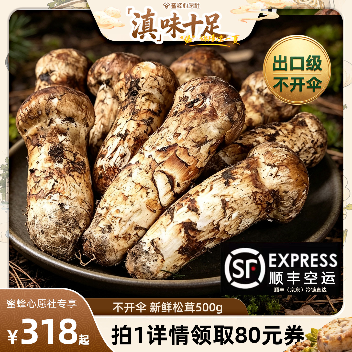 新鲜松茸菇法自然野生煲汤