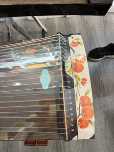 海棠柿柿如意110古筝琴弦专业级古筝弦子初学者成人儿童通用