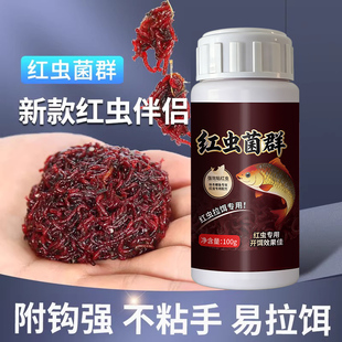 红虫伴侣菌群红虫拉饵蚯蚓冬季低温野钓黑坑鲫鱼鲤鱼强力红虫粘粉
