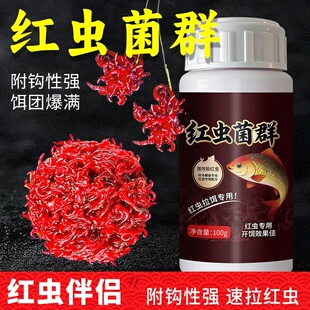 红虫伴侣菌群红虫拉饵蚯蚓冬季低温野钓黑坑鲫鱼鲤鱼强力红虫粘粉