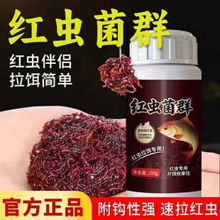 红虫伴侣菌群红虫拉饵蚯蚓冬季低温野钓黑坑鲫鱼鲤鱼强力红虫粘粉