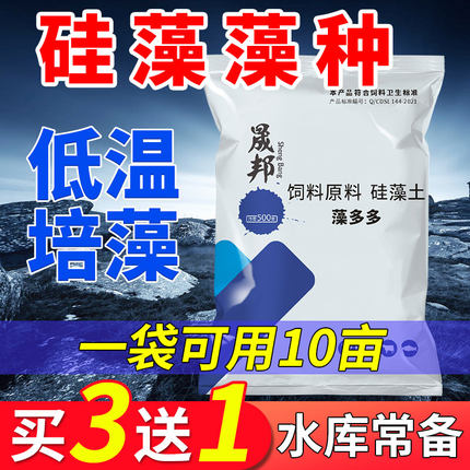 硅藻藻种水产养殖鱼塘虾蟹塘复合藻种小球藻粉肥水培藻增氧硅藻种