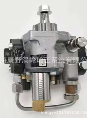 喷油泵294000-0293-0290 33100-45700和294000-1463 22100-E0560