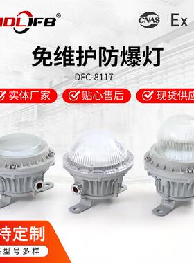 LED防爆巷道灯5W10W15W20W低压24V36V48VLED平台灯三防灯