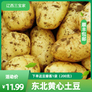 新品 新鲜农家蔬菜自种现挖产地直销当季 农产品 包邮 黄心土豆5斤
