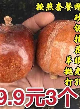 佛心果原籽老果金包玉老果原籽吊坠成品彩原果手串释迦佛心菩提。