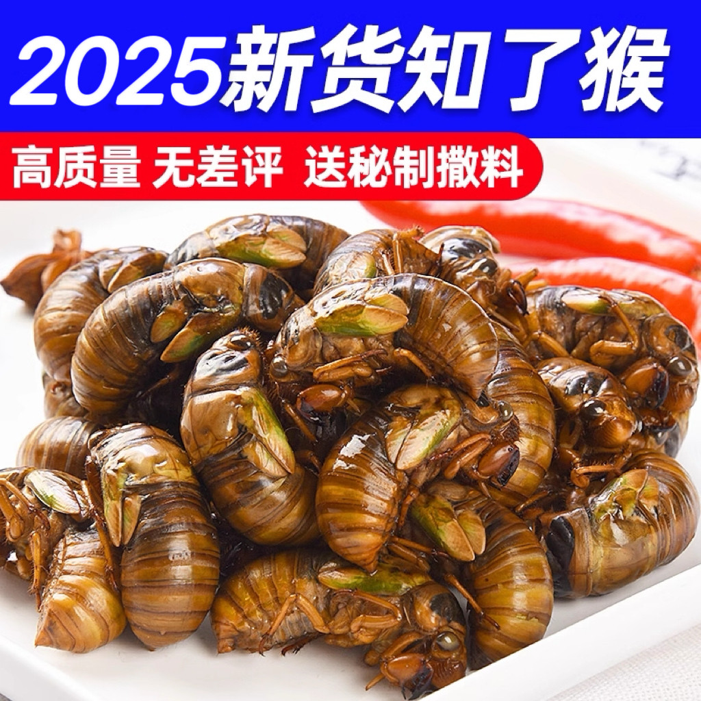 2025年知了猴金蝉新鲜蝉蛹鲜活爬叉猴野生知了猴子爬蚱猴知了龟