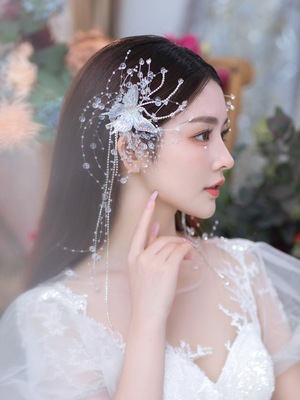 水晶蝴蝶流苏边夹头饰