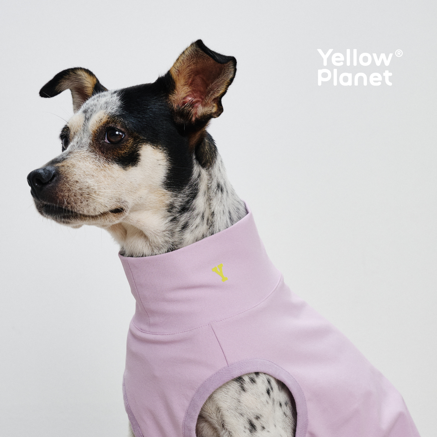 YellowPlanet®绿洲系列宠物防晒凉凉衣 UPF50狗狗背心腊肠小型犬