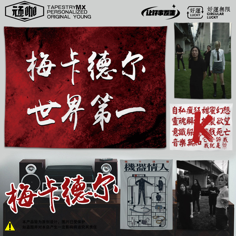 卧室宿舍房间改造梅卡德尔乐队梅卡德尔世界第一电表箱遮丑挂布