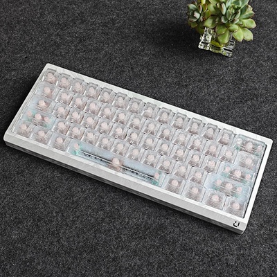 wooting60v2满改m1x羽毛壳全新现货键盘客制化磁轴打瓦FPS三角洲