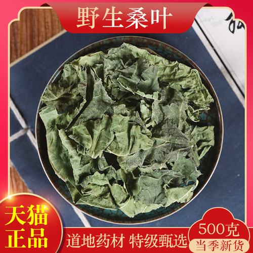 中药材精选桑叶500克正品