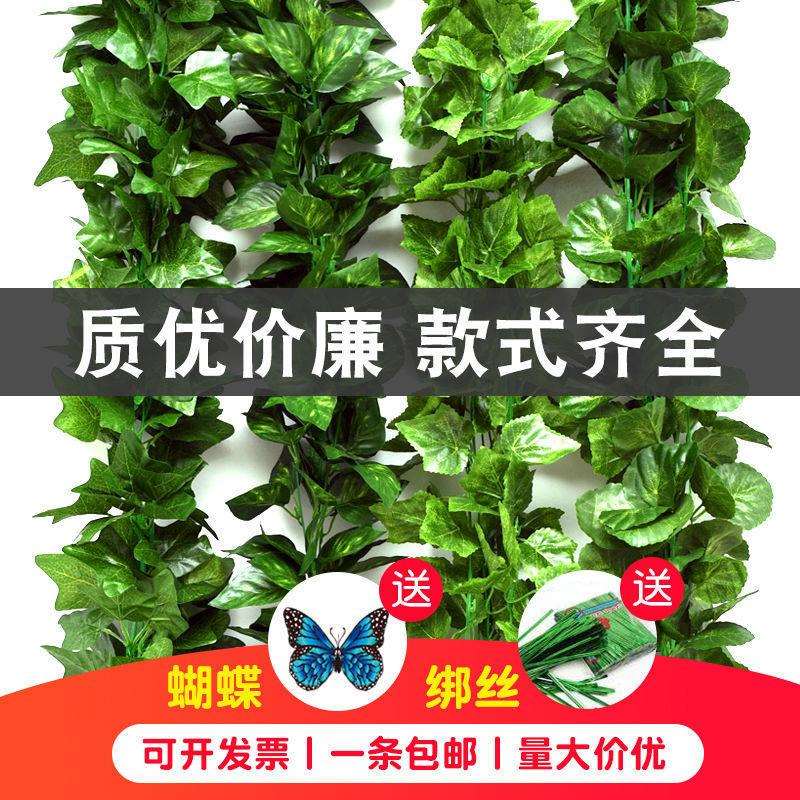 爬藤植物仿真葡萄绿植藤条绿萝藤蔓墙面装饰花藤吊顶管道室内外
