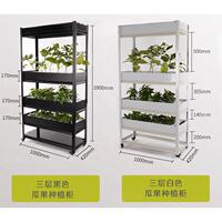 绿阳庭室内无土栽培智能种菜养花机柜多功能水培LED灯种菜机三层