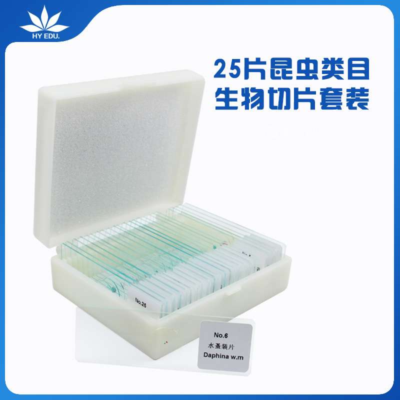 显微镜配件镜英文标签生物切片玻片25种昆虫类生物套装