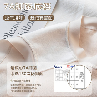 女士无痕轻收腹提臀无痕三角裤 7A全棉抗菌60S高腰纯棉内裤 女大码