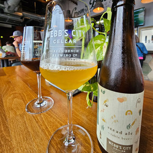 【小女贼】绿色长椅 稳定艾尔  农舍艾尔 瓶装 330ml 精酿啤酒