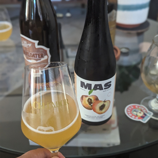 【小女贼】塞拉多艾尔 马斯2023 过桶农舍艾尔 500ml瓶装精酿啤酒