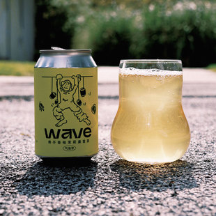 【小女贼】纸飞机 D#佛手香柚茉莉 听装 330ml 精酿啤酒