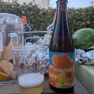 【小女贼】塞拉多艾尔 叶间落阳 过桶农舍艾尔瓶装500ml精酿啤酒