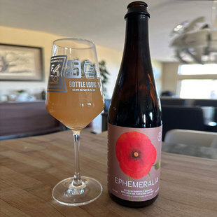 【小女贼】塞拉多艾尔 短暂 过桶野菌艾尔 瓶装 500ml 精酿啤酒