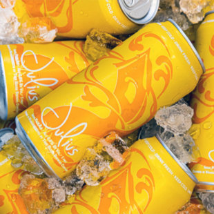 【小女贼】12月产 树屋 朱利叶斯 美式IPA 听装 473ml 精酿啤酒