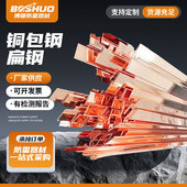 供应铜包钢扁钢 镀铜扁钢 防雷接地铜覆钢扁钢防雷铜覆钢接地扁钢